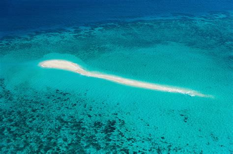 Aerial View Of Coral Reef, Great Photograph by Panoramic Images - Fine Art America