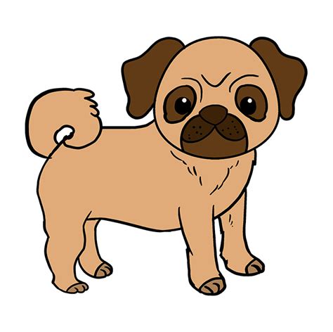 How to Draw a Pug - Really Easy Drawing Tutorial