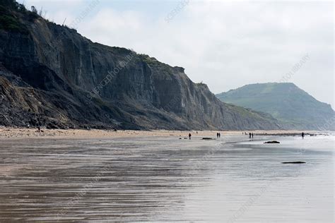 Charmouth Beach - Stock Image - C044/6151 - Science Photo Library