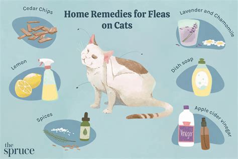 Flea Repellent For Cats Made At Home