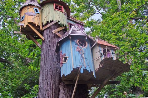 Cool Treehouse Designs We Wish We Had In Our Backyard (PHOTOS) | HuffPost