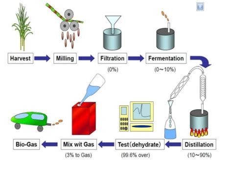 Ethanol Production Business Plan | Pro Business Plans