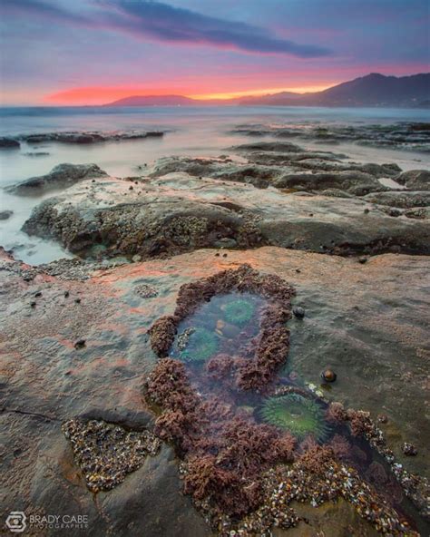 Tide pools at The Cliffs Resort, Pismo Beach, California - photo: bradycabe.com | California ...