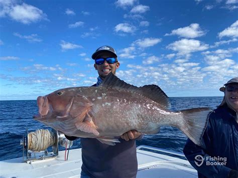 How to Go Grouper Fishing: An Angler’s Guide for 2024