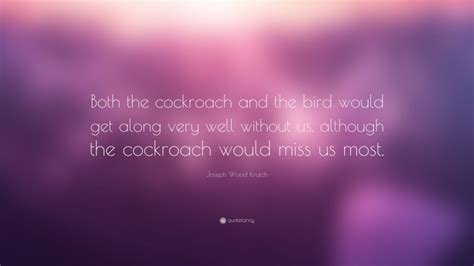 Joseph Wood Krutch Quote: “Both the cockroach and the bird would get ...