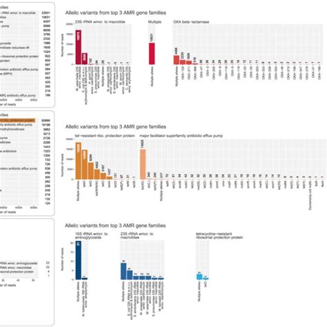 The most common AMR gene families and gene allelic variants in each... | Download Scientific Diagram