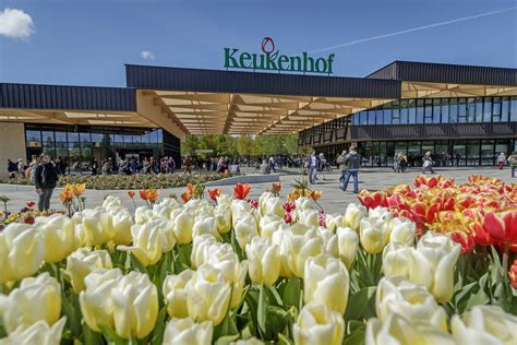 Keukenhof Tulip Garden (Amsterdam, Holland) - Opening hours, prices and travel directions ...