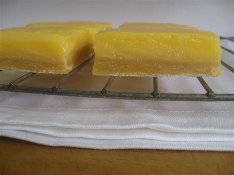 Lemon Slice | Mybestdaysever.com