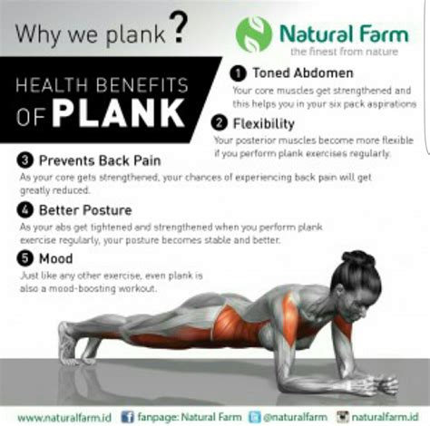 Plank Workout - Strengthen Your Core Muscles