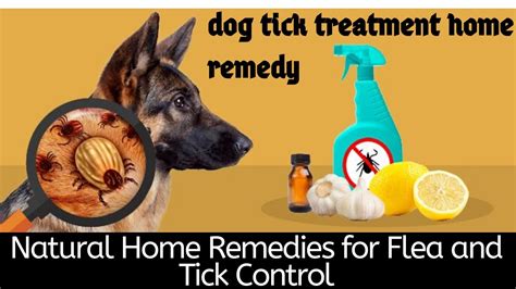 Natural Flea And Tick Prevention For Puppies