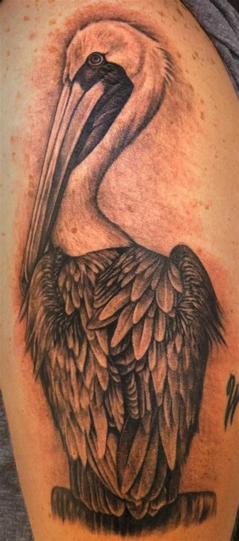 TattooNOW : Tattoos : Pepper : Pelican | Pelican tattoo, Tattoos, Full sleeve tattoos