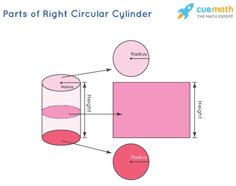 Right Circular Cylinder - Formula, Definition, Examples