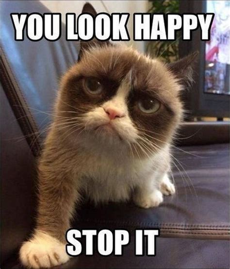 27 Grumpy Cat Memes Monday | Funny grumpy cat memes