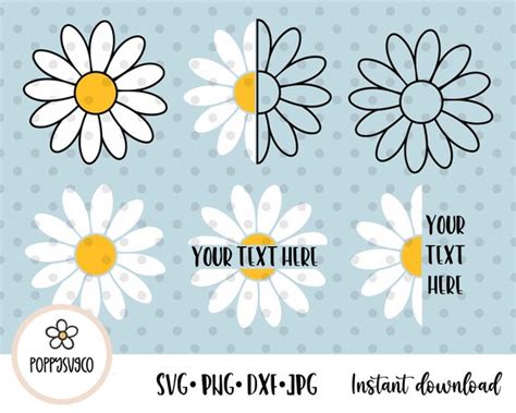 Daisy SVG Daisy Split Svg Flower Svg Groovy Flower Half - Etsy Australia