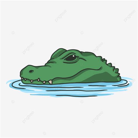 Green Alligator Head In The Water, Alligator, Animal, Beast PNG Transparent Clipart Image and ...