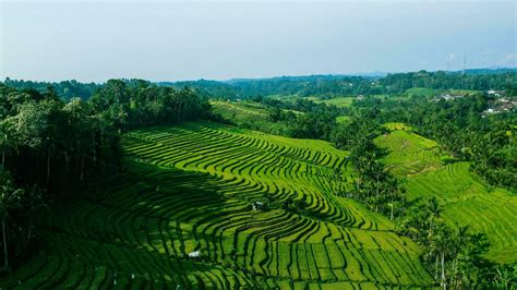 Aerial View Or Rice Field 34581514 Stock Photo at Vecteezy