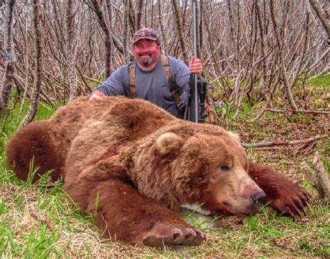 Brown Bear On The Alaska Peninsula - Quality Hunts