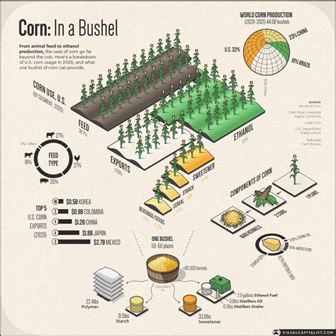 The Uses of Corn: Industries Affected by High Corn Prices