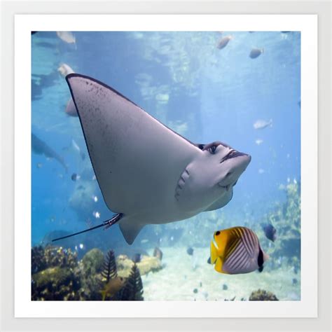 Coral Reef Manta Ray Art Print by CraftedInUSAbyVB | Society6