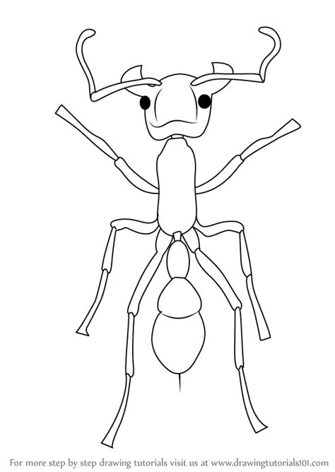 Learn How to Draw a Bullet Ant (Insects) Step by Step : Drawing Tutorials