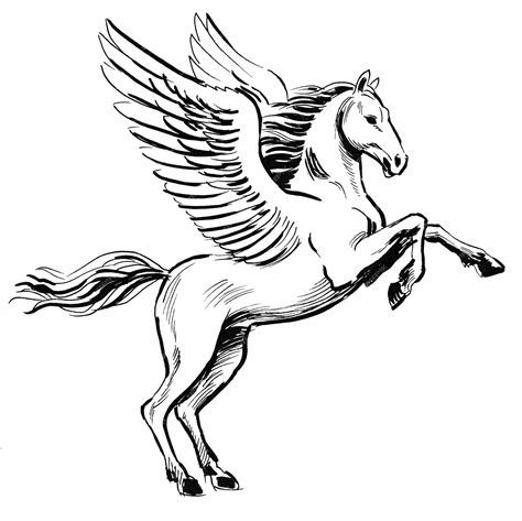 Caballo pegaso volador. dibujo a tinta en blanco y negro | Foto Premium