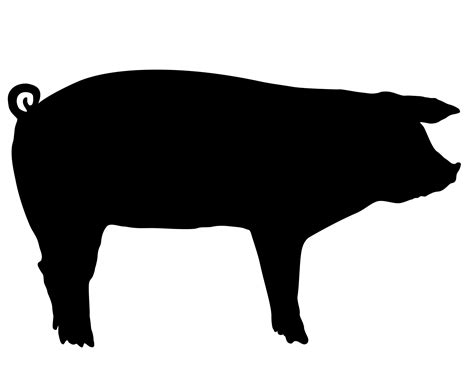 Show Pig Silhouette at GetDrawings | Free download