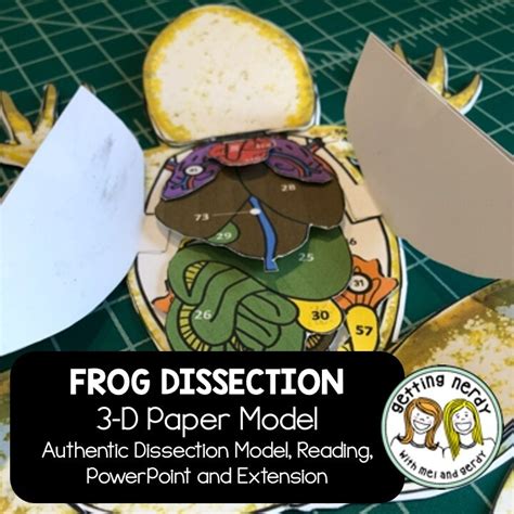 Frog dissection steps - indimg