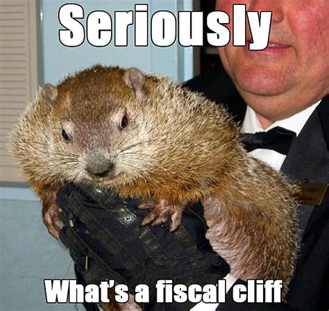 8 Groundhog Day Memes From Punxsutawney Phil