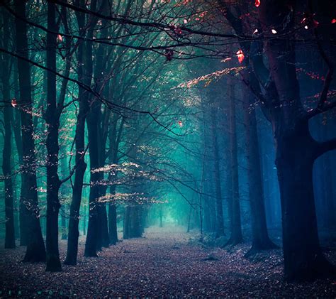 Creepy Forest Wallpapers - 4k, HD Creepy Forest Backgrounds on WallpaperBat