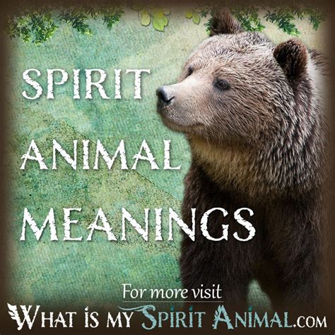 Spirit, Totem, & Power Animal Meanings