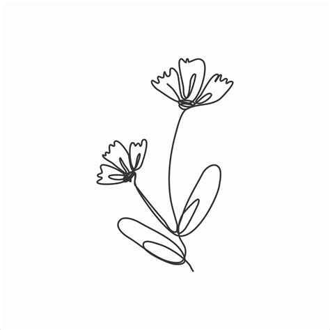 one line drawing of elegant spring flower. continuous line art 2873630 ...