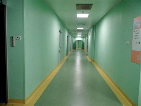 China Hospital Wall Protection PVC Rigid Sheet - China Protective Wall Covering, Protective Wall ...