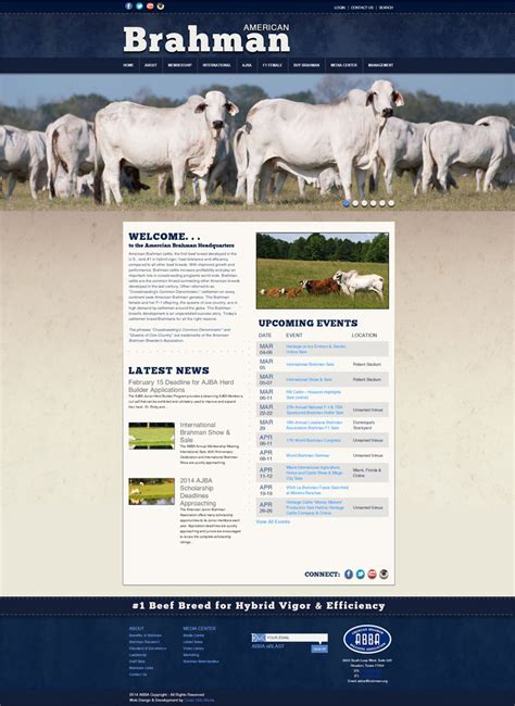 American Brahman Breeders Association