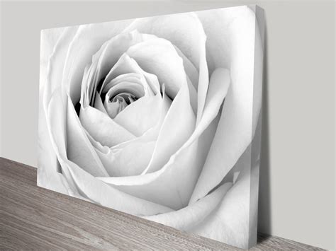 Rose Floral Black and White Canvas Art Print