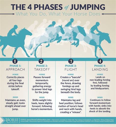 30 best Correct Riding Positions images on Pinterest | Horse tips, Range rover sport and Exercises