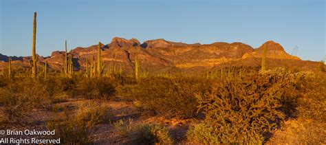 2016 Organ Pipe National Monument on Behance