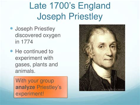 PPT - Photosynthesis PowerPoint Presentation, free download - ID:2506104