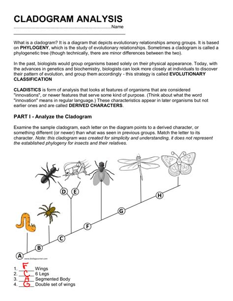 33 Cladogram Practice Worksheet Answers - support worksheet