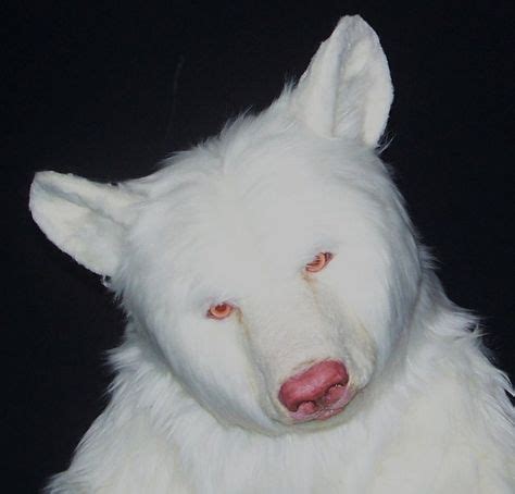 100 Albino and white creatures ideas | albino, albino animals, animals beautiful