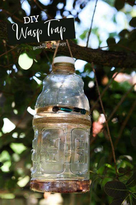 Diy Wasp Trap - DIY Ideas