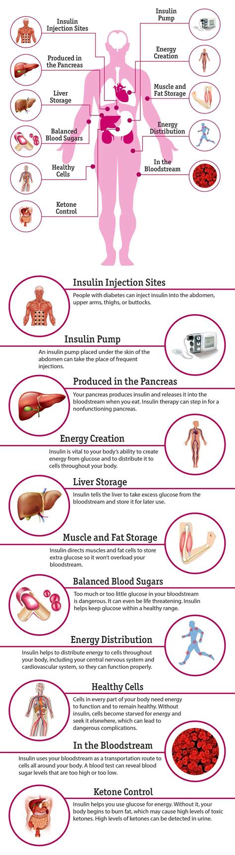 11 effecten van insuline op de Body