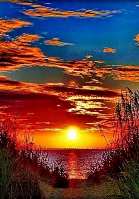 Brilliant colors for a sunset. Amazing Sunsets, Amazing Nature ...