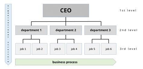 Organizational Chart: Definition, Examples & Templates