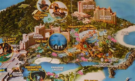 ***BRAND NEW*** ATLANTIS WATER PARK DOLPHIN CAY BROCHURE NASSAU BAHAMAS PARADISE