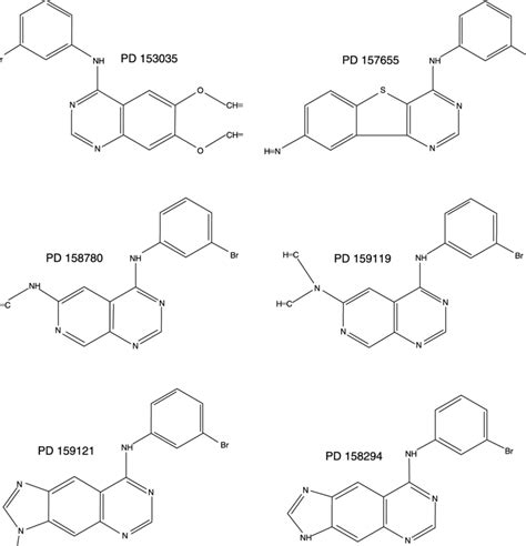 Chemical structures of the EGFR tyrosine kinase inhibitors tested. | Download Scientific Diagram