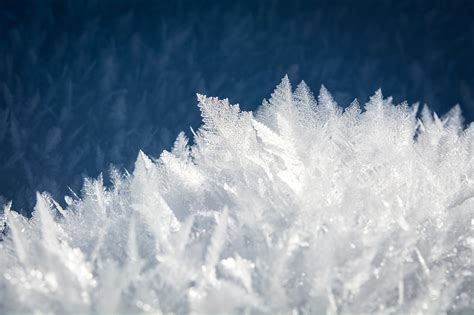 Ice Crystals Winter Snowflakes - Free photo on Pixabay - Pixabay