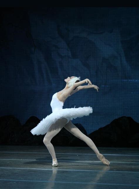 On Ballet, Art and Life: Mariinsky Swan Lake Pictures!