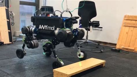 Hybrid Locomotion For Wheeled-Legged Robots - ANYmal Quadrupedal Robot