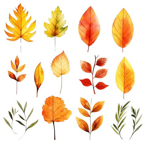 Watercolor Autumn Fall Leaves Elements, Elements, Watercolor, Leaf PNG ...