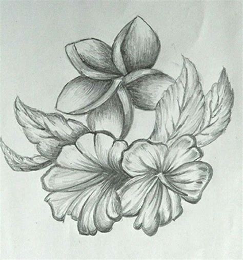 Pencil Shading Tips For Easily Sketching Flowers Tombow USA Blog ...